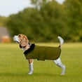 thumbnail image 5 of Waterproof Warm Dog Coat with Adjustable Velcro & Windproof Nylon - Winter Outdoor Jacket for Small, Medium, and Large Dogs, 5 of 6