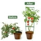 thumbnail image 4 of 12 Pcs Garden Vegetables Stakes For Plant Cage Support Tomato Cage For Vertical Climbing Plants For 11mm Stake, 4 of 9