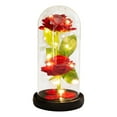 thumbnail image 2 of BKER Two Roses Glass Cover LED Atmosphere Lamp Creative Decoration For Girlfriend On Valentine's Day Rose Lamp, 2 of 5