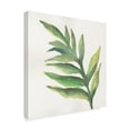 thumbnail image 2 of Trademark Fine Art 'Tropical Palm I' Canvas Art by Chris Paschke, 2 of 3