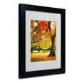 thumbnail image 3 of Trademark Fine Art "Dance of Colors" Canvas Art by Philippe Sainte-Laudy, Black Frame, 3 of 3