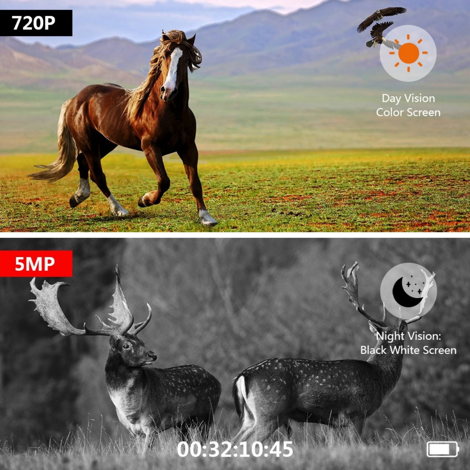 Trail Camera with Infrared Night Vision, Motion Activated Game Camera with 1080P Video, No-Glow IR & Weather-Resistant Design, Wildlife Camera for Outdoor Use