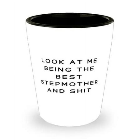 

Love Stepmother Look At Me Being The Best Stepmother And Shit Nice Shot Glass For Mom From Daughter