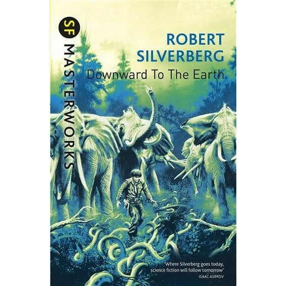 Downward To The Earth Robert Silverberg (Paperback)
