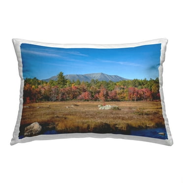 Stupell Industries Rural Stream Landscape Decorative Printed Throw Pillow, 14 x 20