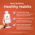 thumbnail image 6 of MaryRuth's Turkey Tail Mushroom Herbal Supplement 200mg Beta-Glucans, Vegan, Gluten-Free, 1 Count, 7.6 fl oz, 6 of 11
