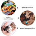 thumbnail image 2 of Insect Cycle Growth Life Toys Model Figurines Educationalgiant Playset Animals Animal Ant Development Early, 2 of 7