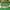 C, variant on 100Fens Simulation Fence Fence Telescopic Fence Fake Flower Green Leaves Outdoor Courtyard Wall Guardrail Decorative Leaves To Shield Plants