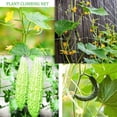 thumbnail image 6 of ‌DIY Garden Trellis Kit - Interconnecting 6FT-250FT Nylon Netting for Grapevines, Peas & Climbing Plants, 6 of 7