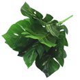 thumbnail image 1 of Coofit Branche de Feuille Artificielle Réaliste 9 Branches Fausses pour Maison, 1 of 10