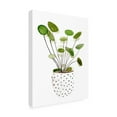 thumbnail image 2 of Melissa Wang 'Plant in a Pot II' Canvas Art, 2 of 3
