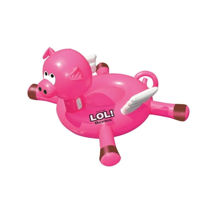 flying pig pool float