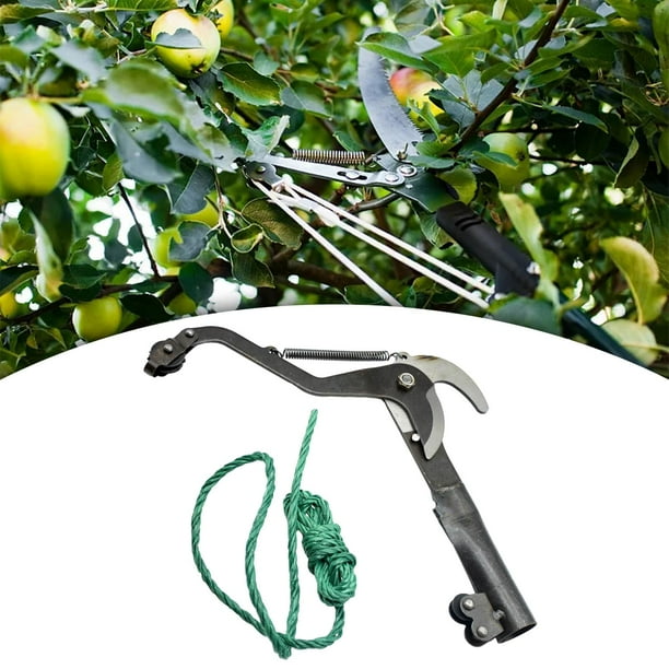 Tijeras de de gran altitud, tijeras para ramas de árboles, herramientas de jardín, recorta de árboles, cizalla de jardín, herramienta Negro