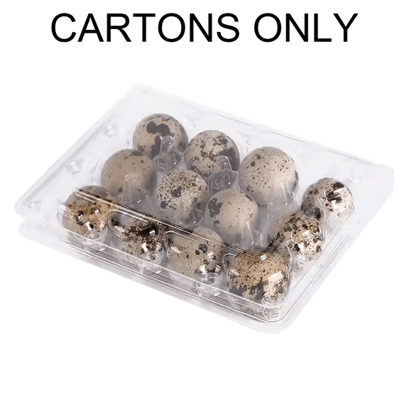 50 Jumbo Quail Egg Cartons Only for Coturnix Bobwhite Quail One Dozen