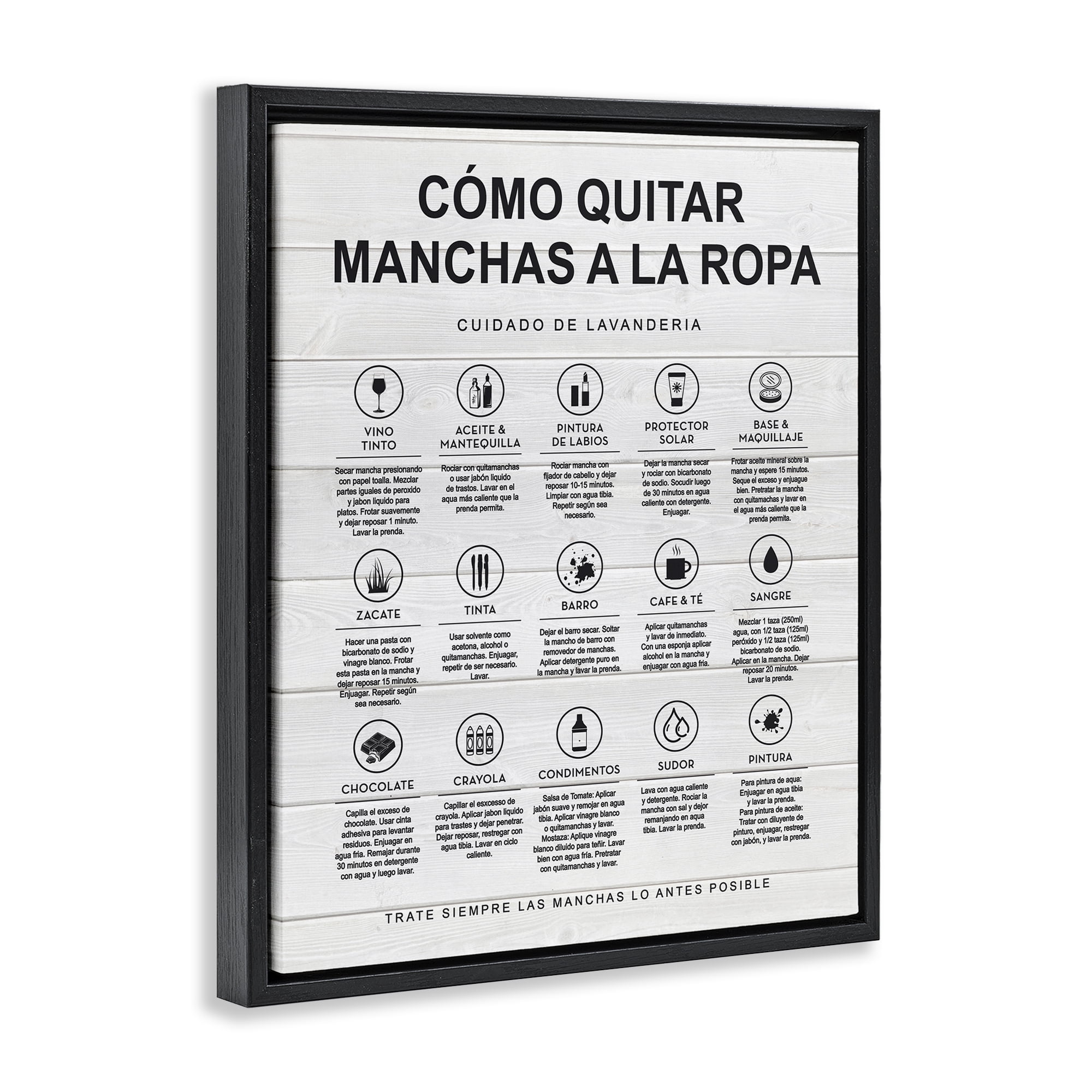 Stupell Industries Guía de Limpieza de Manchas, Blanco Bath & Laundry Painting Black Floater Framed Art Print Wall Art, 25 x 31