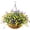 Purple Yellow, variant on Artificial Hanging Flowers in Basket for Patio Garden Decoration,Artificial Daisy Arrangement,Fake Plants in 12 inch Coconut Lining Basket for Outside Spring Decor(Purple Yellow)