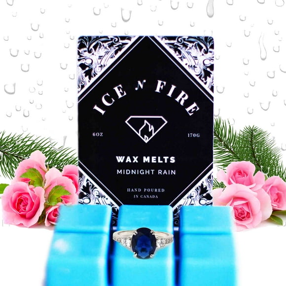 Midnight Rain Ring Wax Melt