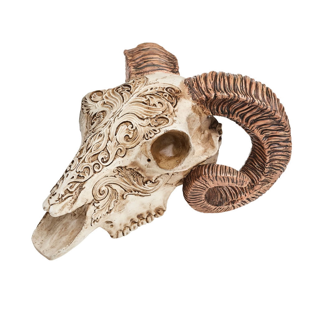 ram skull design