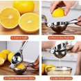 thumbnail image 3 of Manual Citrus Press, Lemon Press, Anti-caustic, Very Resistant, 7 Cm Diameter Manual Orange Press For Kitchen, Bar, Restaurant, 3 of 4
