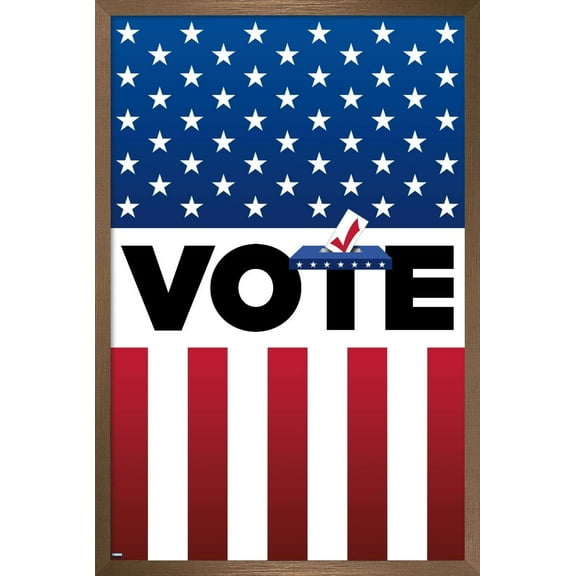 Vote Wall Poster, 14.725" x 22.375", Framed