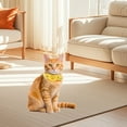 thumbnail image 3 of Dsscvnef Durable Nylon Pet Collar Adjustable Design for Small Dogs and Cats Comfortable Fit Everyday Use Outdoor Activities Training Versatile Lightweight, 3 of 5