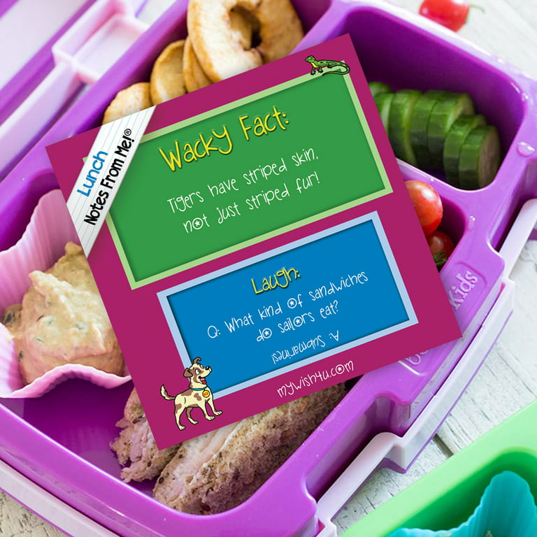 Bento Boxes for Kids' Lunches 101