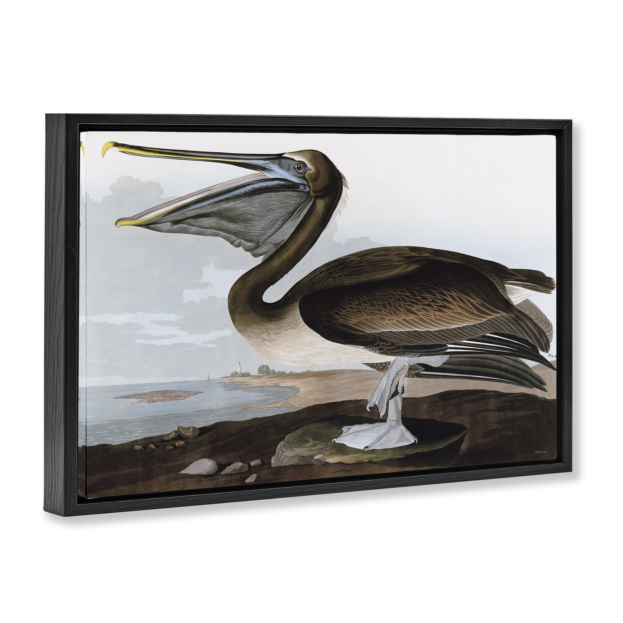 Stupell Industries Classic Pelican at Beach Animals & Insects Painting Black Floater Framed Canvas Art Print Wall Art, 25 x 17