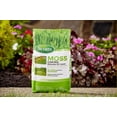 Scotts Lawn Moss Control Granules, EasytoUse Shaker Jug, 18.37 lbs