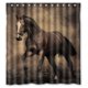 thumbnail image 1 of ABPHQTO Corriendo Caballo Cortina de Ducha Cortina de Ducha Impermeable 160x180 cm, 1 of 2