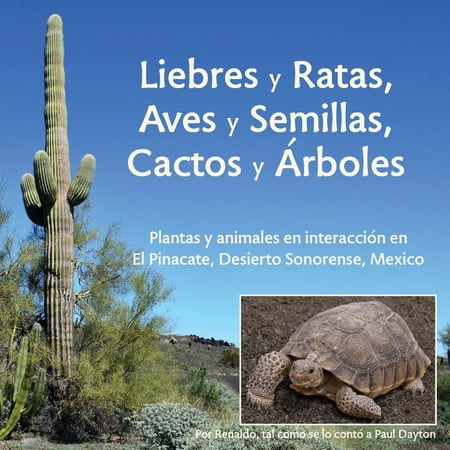 Liebres y Ratas Aves y Semillas Cactos y &Atilde;rboles: Plantas y animales en interacci&Atilde;&sup3;n en El Pinacate Desierto Sonorense (Paperback)