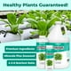 thumbnail image 2 of Nutrientes hidropónicos, nutrientes TPS para plantas comestibles, 1 litro, 2 of 5