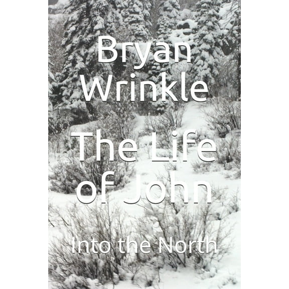 The Life of John (Paperback)