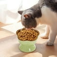 thumbnail image 5 of Nebwoak Ceramic Elevated Slow Feeder Bowl for Small Dogs & Cats - Non-Tip, Protects Neck, Slows Eating to Prevent Choking, 5 of 6
