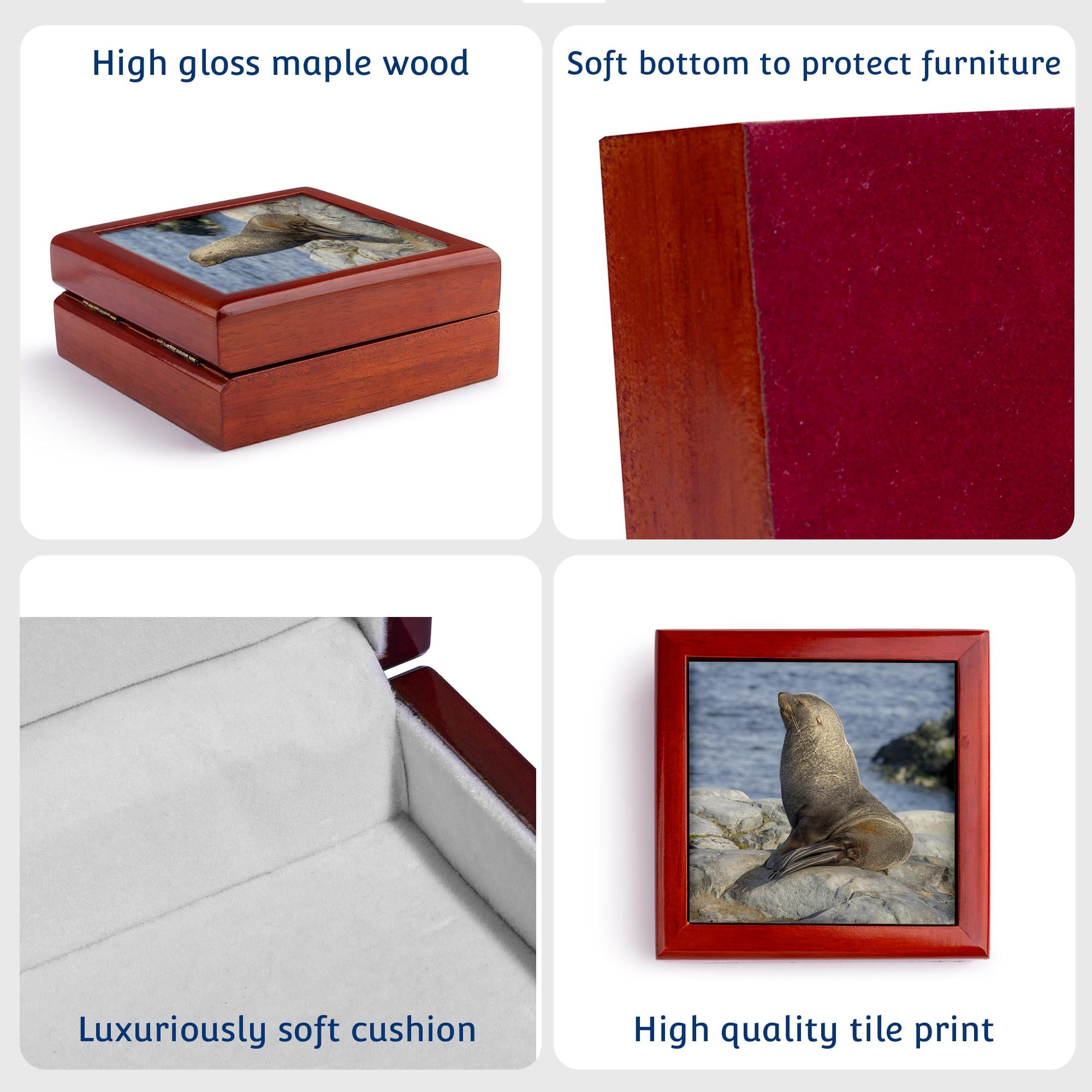 3dRose, Antarctic Fur Seal on rocks in Palmer Archipelago, Antarctica., Jewelry Box 5.5x5.5 inch with 4 inch tile