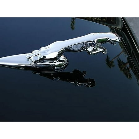 P21S 12700W Carnauba Wax