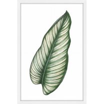 Marmont Hill "Top Leaf I" by Shayna Pitch Framed Painting Print