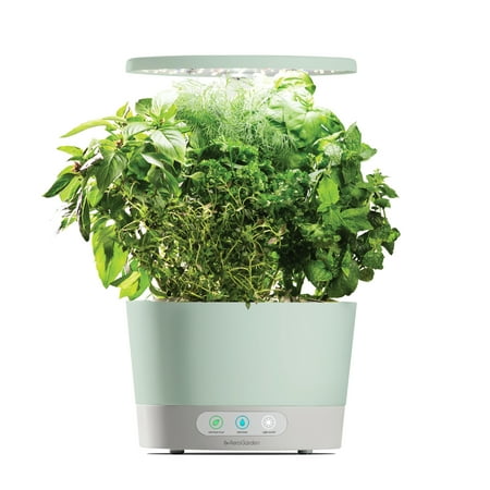 AeroGarden Harvest 360 - Indoor Garden with LED Grow Light, Sage