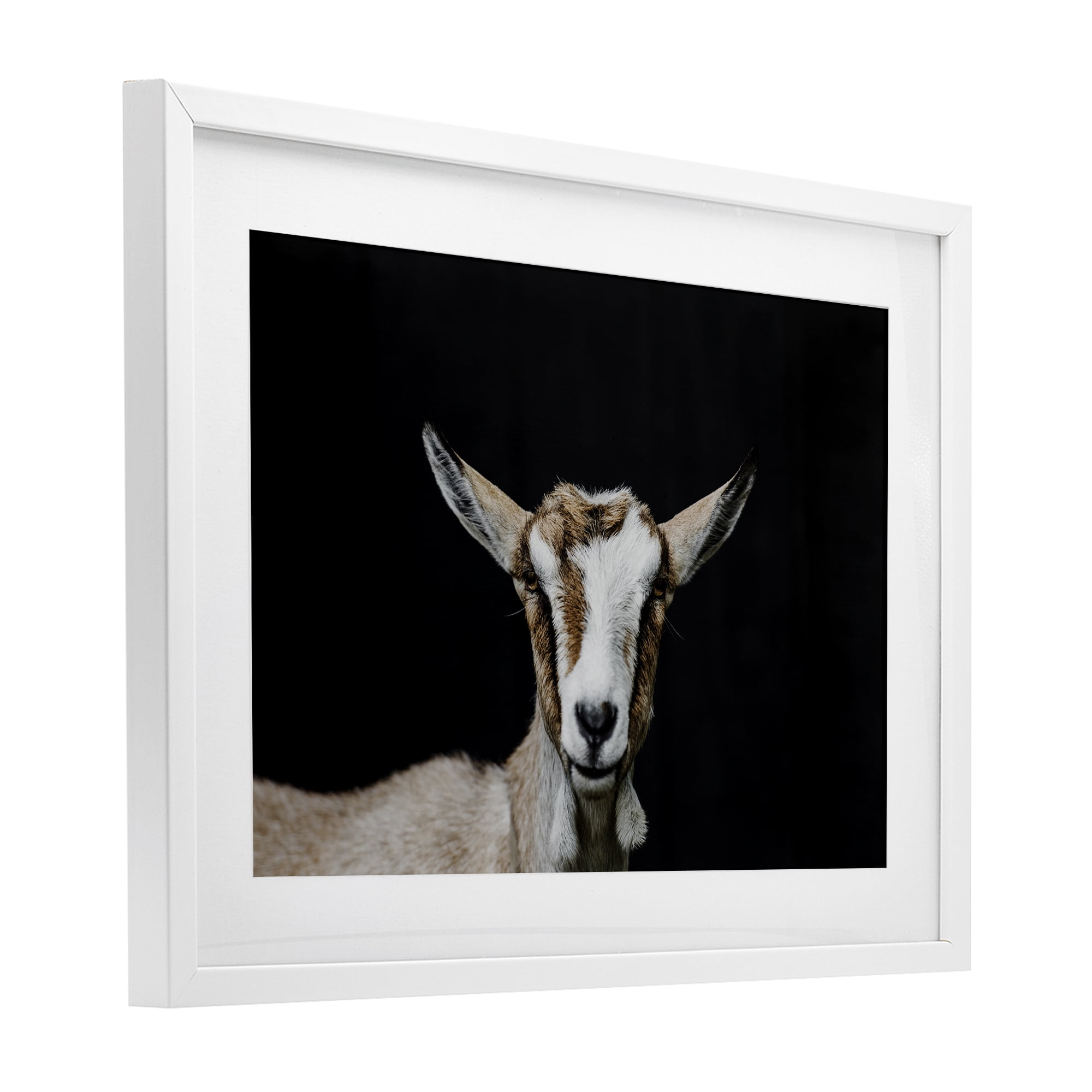 Goat Face over Black White Framed Print Under Glass, design by Amy Carroll