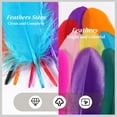 thumbnail image 5 of 200 Pcs Colorful Craft Feathers MODANU 5-6inch Colored Feathers for DIY Crafts, Dream Catchers, Cosplay Wings and Home Party Decorations, 5 of 6