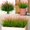 Pink, variant on Artificial Plants Outdoor Fake Monkey Grass with Flowers for Pot UV Resistant Plant Decor for Window Garden Patio Hanging Planter Pathway Front Porch (Grass with Flowers)
