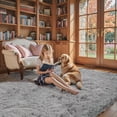 thumbnail image 5 of Ultra Soft Rug for Living Room, 3x5 Feet Grey Shag Area Rugs for Living Room, Modern Shaggy Carpets for Teens Dorm Nursery Home, Non Slip Indoor Rugs Floor Carpet(3 x 5, Light Grey), 5 of 14