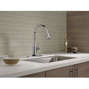 Delta Essa Single-Handle Pull-Down Kitchen Faucet - 9113T-DST - Chrome
