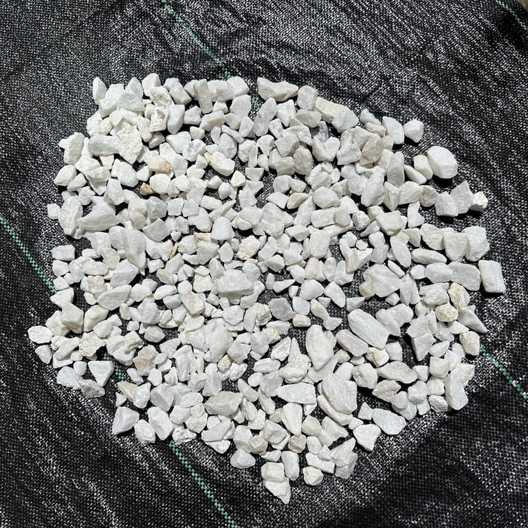 Curated visual reference: Aquarium Calcium Carbonate Crystals Reference: Calcium Carbonate Rocks 5Lb Tennessee Limestone Rock