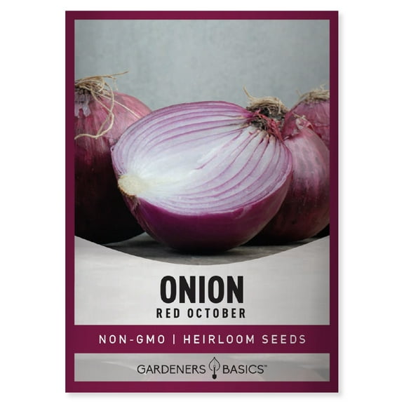 Red October Onion Seeds