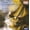 Orange + Steel + Garden & Outdoor + No, variant on Hermann Max - Danzig Cantatas - Music & Performance - CD