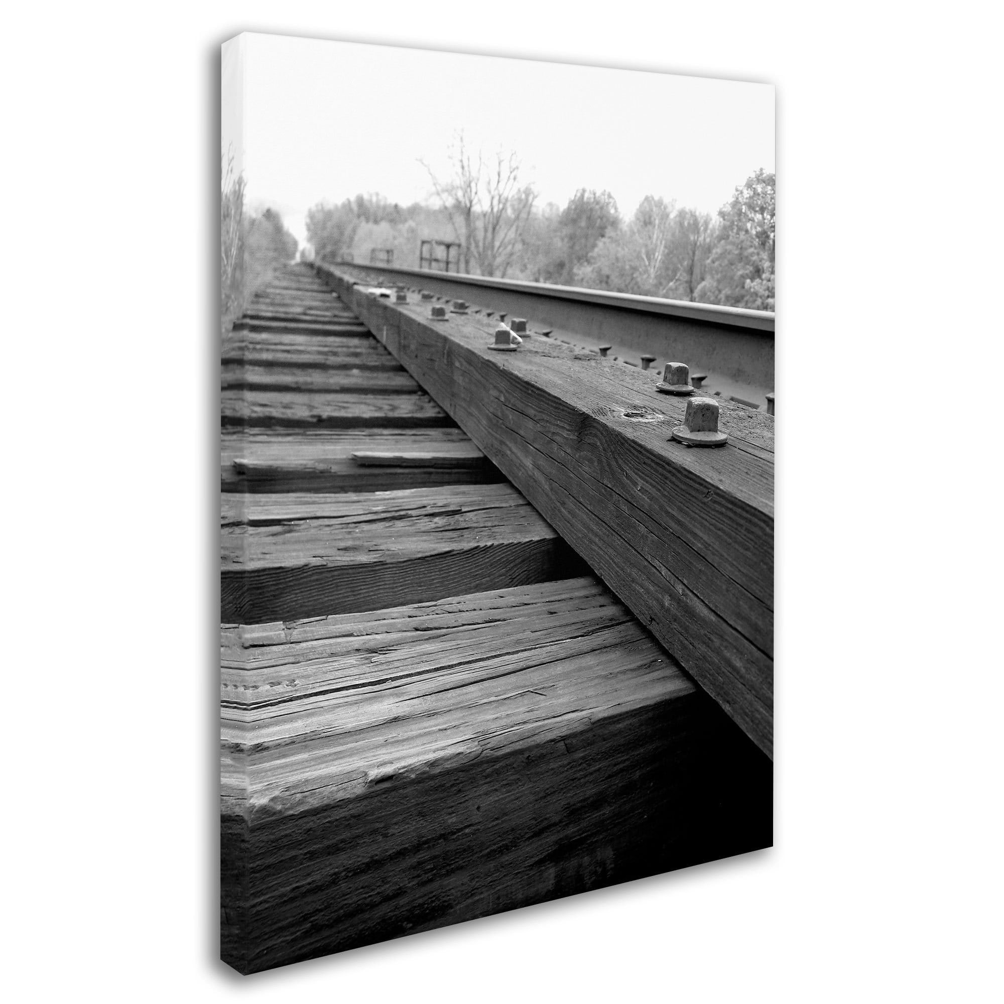 Trademark Fine Art "Unfinished Flaw" Canvas Art by Monica Fleet