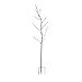 thumbnail image 3 of Evergreen Bottle Tree Variations (Bronze), 3 of 4