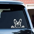 thumbnail image 2 of Car Sticker Paws Up French Bulldog Frenchie Bully Dog Decoration Vinyl Car Decal Reflective Laser 3d Car Stickers Car Styling, 2 of 5
