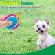 thumbnail image 3 of Pelotas de tenis para perros EXPAWLORER, paquete de 12 unidades, 6,35 cm, Squeaky, 3 of 7