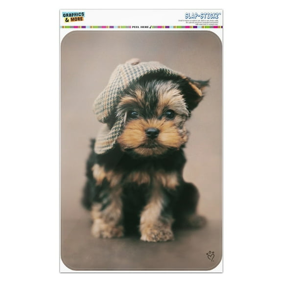 Yorkie Yorkshire Terrier Dog Dapper Cap Hat Home Business Office Sign